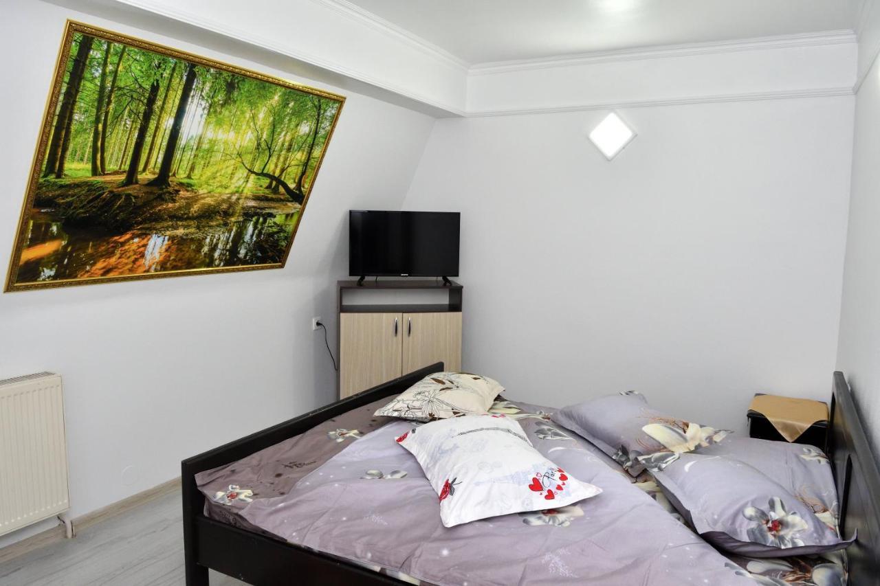 Caransebeş Casa Simescu Iホステル エクステリア 写真
