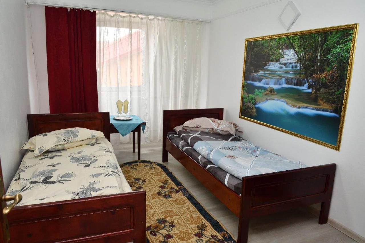 Caransebeş Casa Simescu Iホステル エクステリア 写真