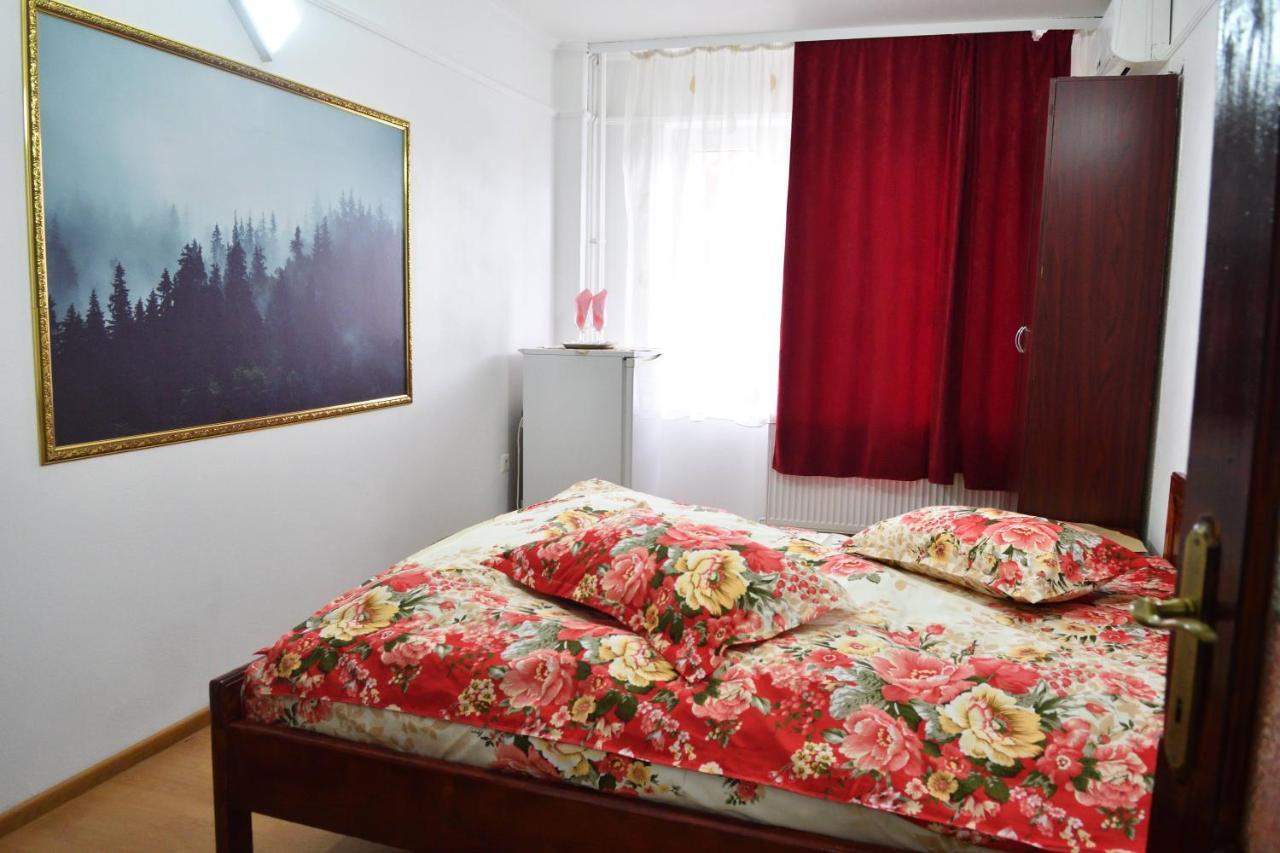 Caransebeş Casa Simescu Iホステル エクステリア 写真
