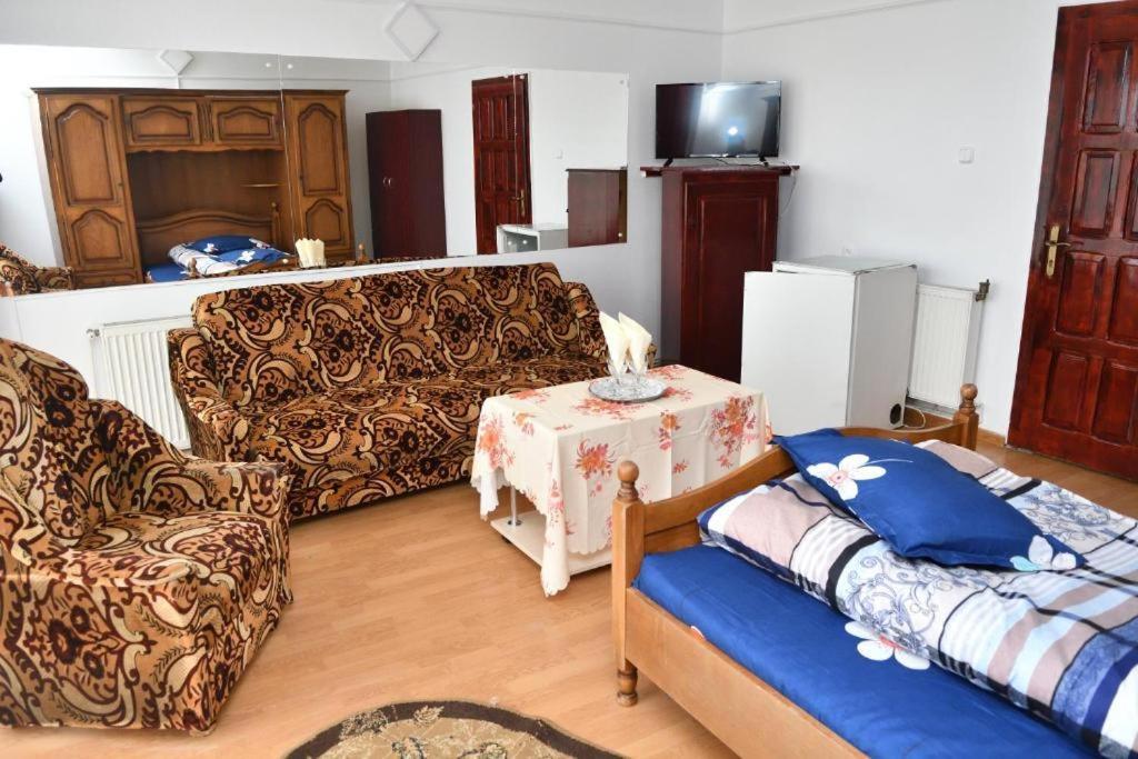 Caransebeş Casa Simescu Iホステル エクステリア 写真
